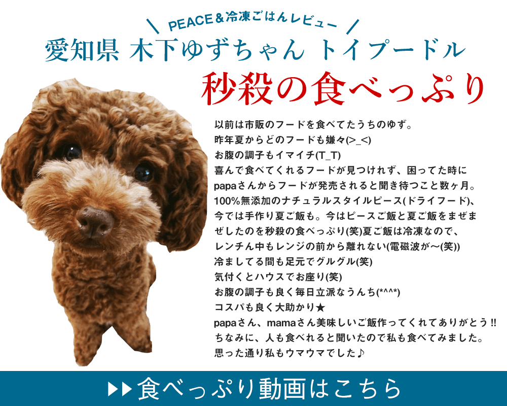 以前は市販のフードを食べてたうちのゆず。
昨年夏からどのフードも嫌々(>_<)
お腹の調子もイマイチ(T_T)
喜んで食べてくれるフードが見つけれず、困ってた時にpapaさんからフードが発売されると聞き、待つこと数ヶ月。
100%無添加のナチュラルスタイルピース(ドライフード)、今では手作り夏ご飯も。
今はピースご飯と夏ご飯をまぜまぜしたのを秒殺の食べっぷり(笑)