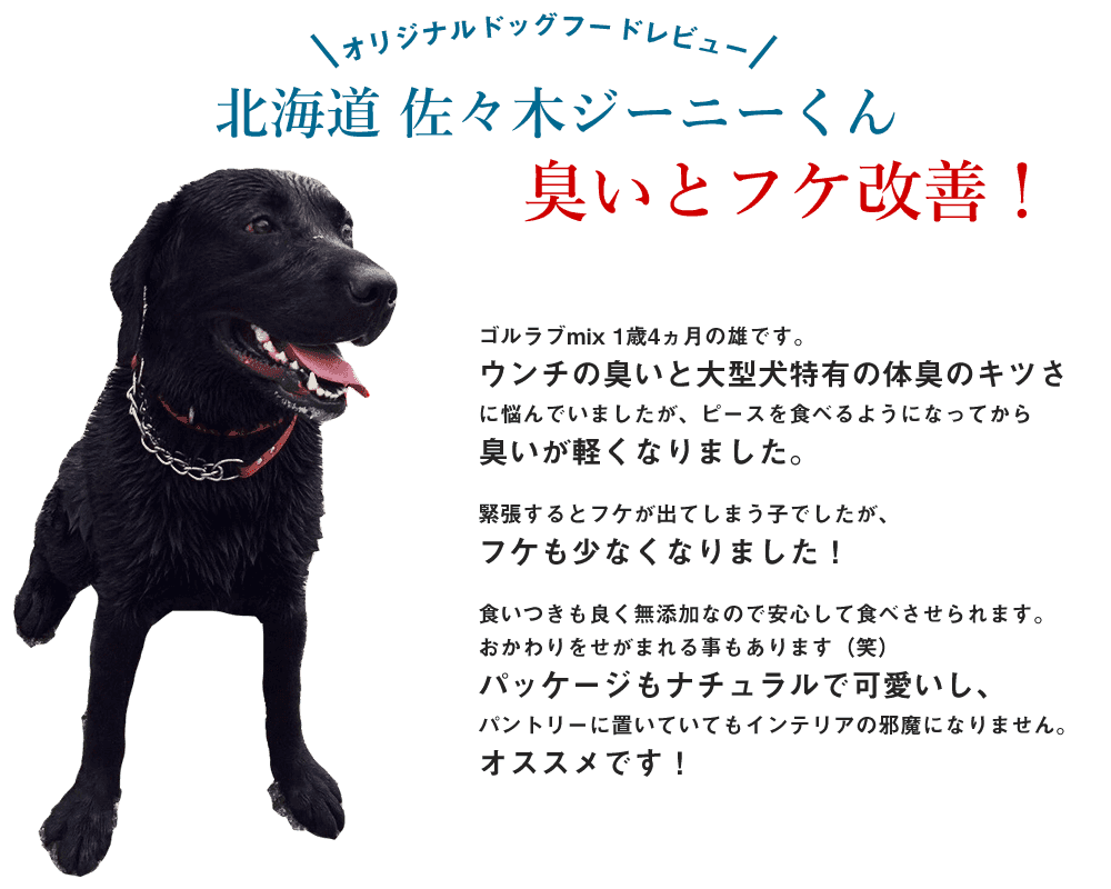 ゴルラブmix 1歳4ヵ月の雄です。
ウンチの臭いと大型犬特有の体臭のキツさに悩んでいましたが、ピースを食べるようになってから臭いが軽くなりました。
緊張するとフケが出てしまう子でしたが、フケも少なくなりました！
食いつきも良く無添加なので安心して食べさせられます。
おかわりをせがまれる事もあります（笑）
パッケージもナチュラルで可愛いし、パントリーに置いていてもインテリアの邪魔になりません。
オススメです！