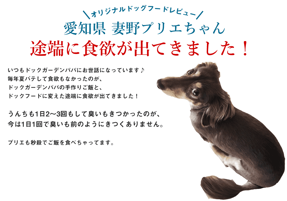 
いつもドックガーデンパパにお世話になっています(music)
毎年夏バテして食欲もなかったのが、ドックガーデンパパの手作りご飯と、ドックフードに変えた途端に食欲が出てきました(grin)(grin)
うんちも1日2〜3回もして臭いもきつかったのが、今は1日1回で臭いも前のようにきつくありません
プリエも秒殺でご飯を食べちゃってます
