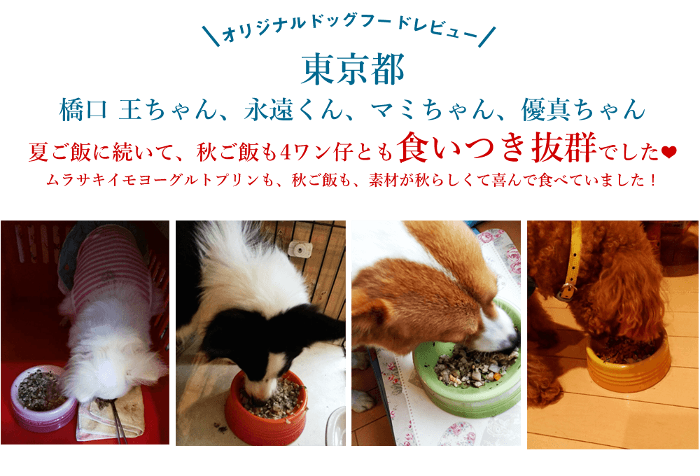 
夏ご飯に続いて、秋ご飯も4ワン仔とも食いつき抜群でした❤

ムラサキイモヨーグルトプリンも、秋ご飯も、素材が秋らしくて喜んで食べていました