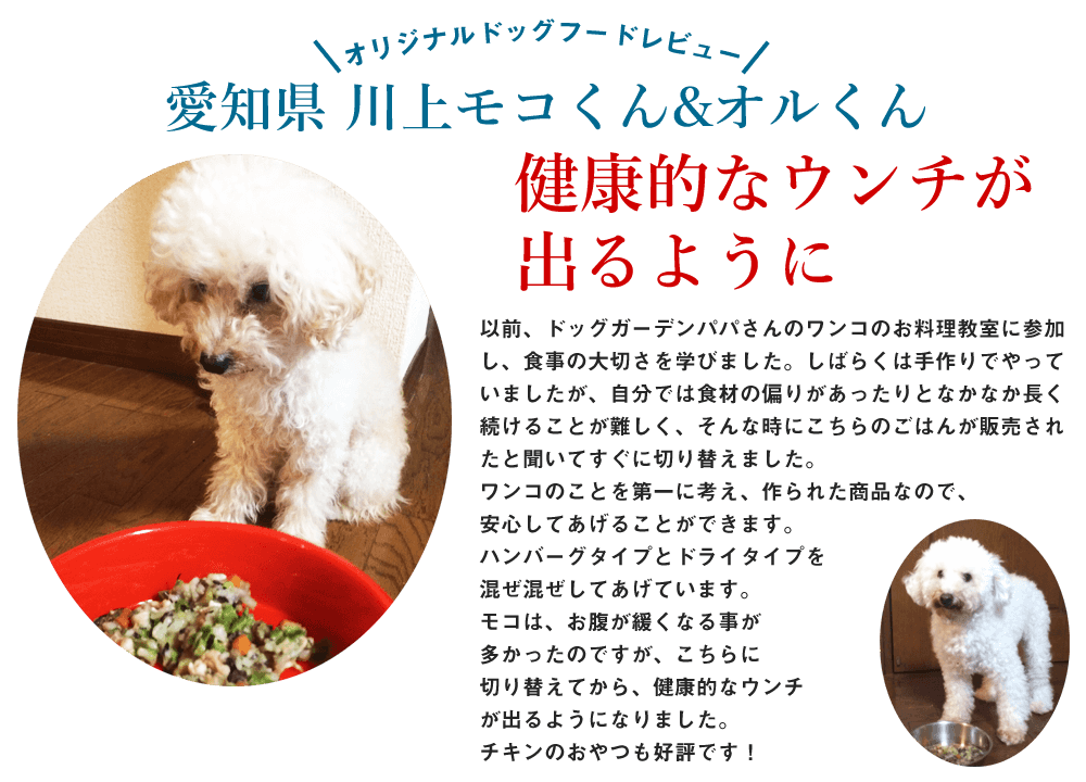 
以前、ドッグガーデンパパさんのワンコのお料理教室に参加し、食事の大切さを学びました。しばらくは手作りでやっていましたが、自分では食材の偏りがあったりとなかなか長く続けることが難しく、そんな時にこちらのごはんが販売されたと聞いてすぐに切り替えました。
ワンコのことを第一に考え、作られた商品なので、安心してあげることができます。ハンバーグタイプとドライタイプを混ぜ混ぜしてあげています。
モコは、お腹が緩くなる事が多かったのですが、こちらに切り替えてから、健康的なウンチが出るようになりました。チキンのおやつも好評です！